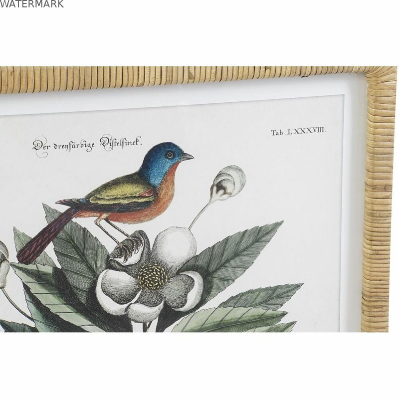 Cadre DKD Home Decor 50 x 2,5 x 65 cm Shabby Chic Plantes botaniques (4 Pièces)