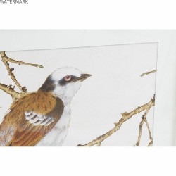 Cadre DKD Home Decor 60 x 2,5 x 60 cm Oiseau Shabby Chic (4 Pièces)