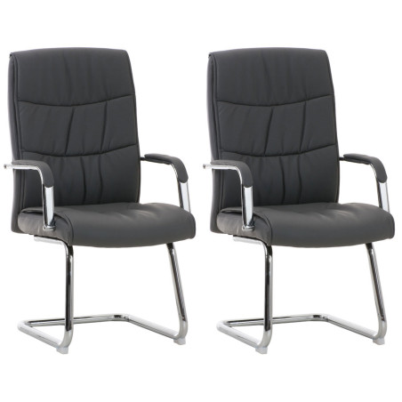 Ensemble de 2 chaises, gris Caro
