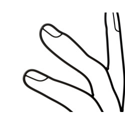 Décoration murale Simply Face – 50x61 cm – Panneau mural Bohème minimaliste et expressif