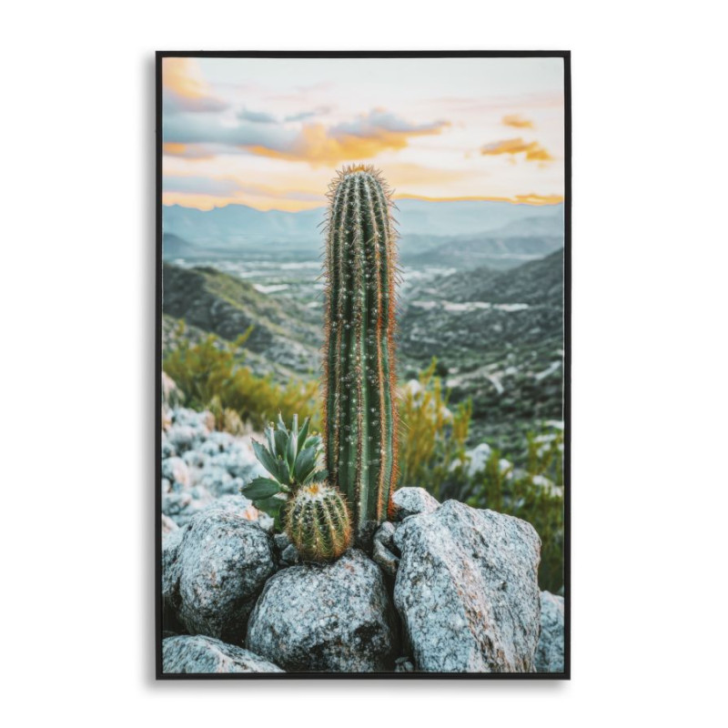 Impression sur toile laquée Cactus H – Grandeur et modernité murale (60 x 4 x 90 cm)