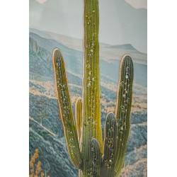 Impression sur toile laquée Cactus L – Fraîcheur artistique sur mur (60 x 4 x 90 cm)