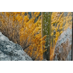 Impression sur toile laquée Cactus L – Fraîcheur artistique sur mur (60 x 4 x 90 cm)