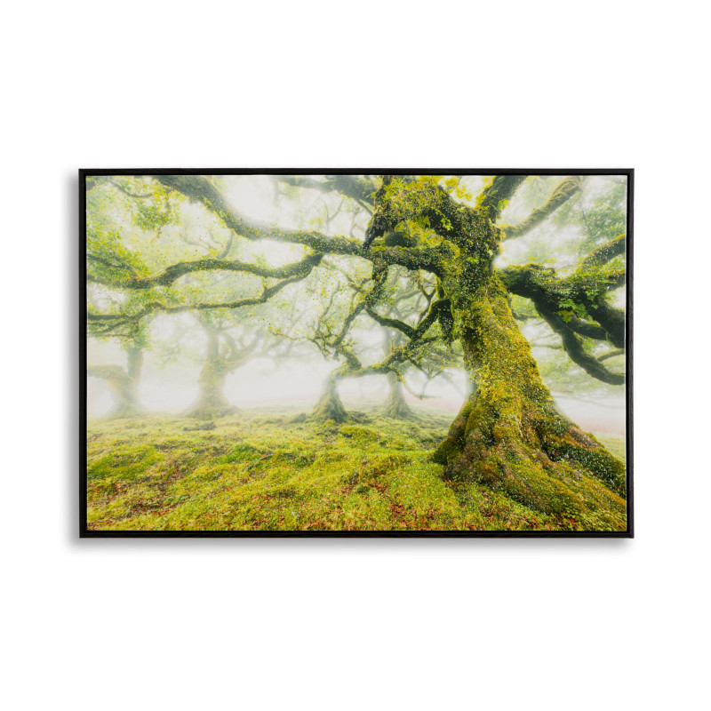 Impression sur toile laquée Forêt – Nature et profondeur sur vos murs (90 x 4 x 60 cm)