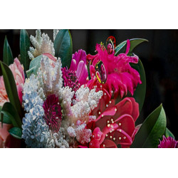 Toile laquée Moira B – Élégance moderne et design (52 x 4 x 102 cm)