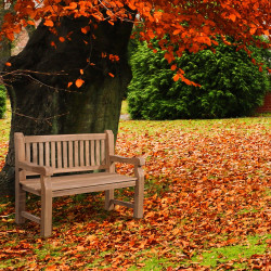 Banc en teck Jackson V2 120 cm teck