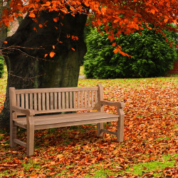 Banc en teck Jackson V2 180 cm teck