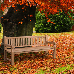 Banc en teck Jackson V2 200 cm teck