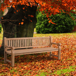 Banc en teck Jackson V2 220 cm teck