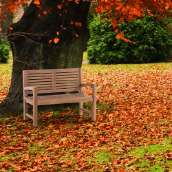 Banc en teck Halden 120 cm avec rev?tement en teck