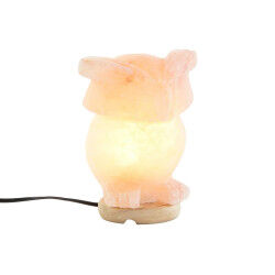 Lampe de bureau DKD Home Decor Rose Sel Acacia 15 W 220 V 14 x 14 x 18 cm