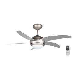 Ventilateur de Plafond...