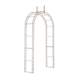 Arche de roses de Lenz