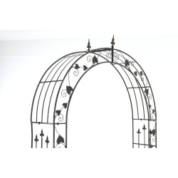 Rose Arch Emma