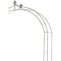 Rose Arch Anna