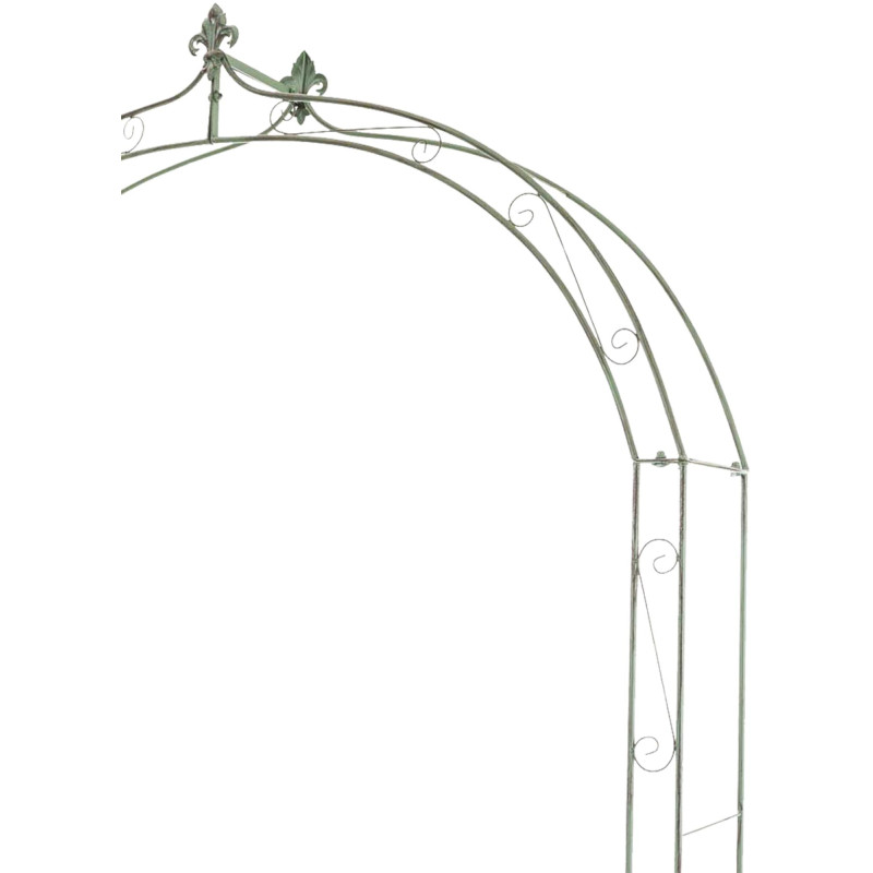 Rose Arch Anna