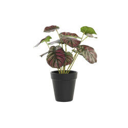 Plante décorative DKD Home...