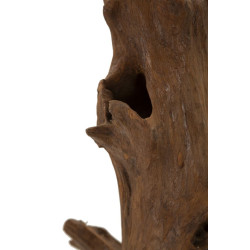 SCULPTURE AKAR EN TECK CM 23X27X64