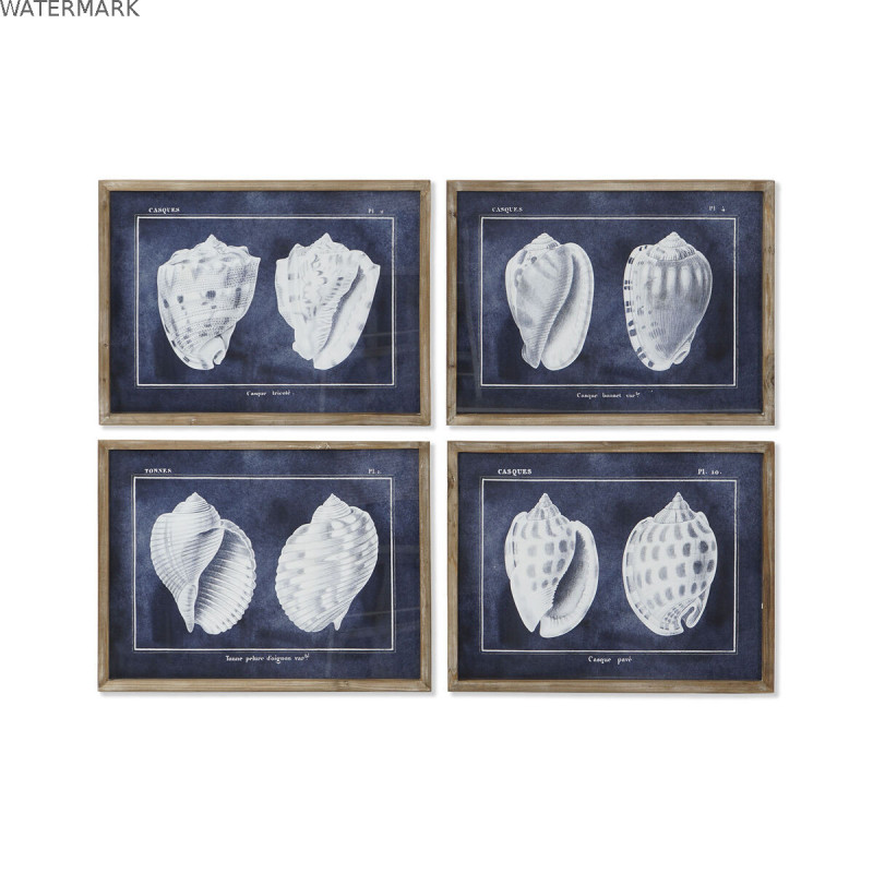 Cadre Home ESPRIT Conque 60 x 2,5 x 45 cm (4 Unités)