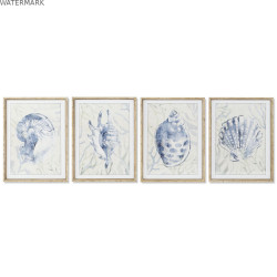 Cadre Home ESPRIT méditerranéen Conque 45 x 2,5 x 60 cm (4 Unités)