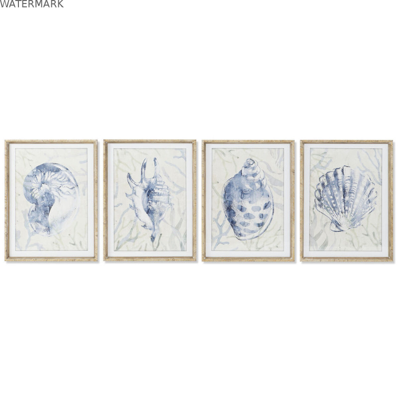 Cadre Home ESPRIT méditerranéen Conque 45 x 2,5 x 60 cm (4 Unités)