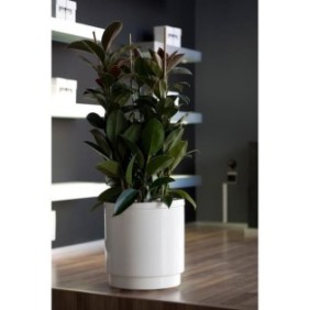 PLASTIKEN Pot de fleurs a réserve d'eau Hidrojardinera - ÿ38 cm - Blanc