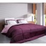 Couette Microfibre 400g/m≤ CALGARY Prune & Parme 240x260cm