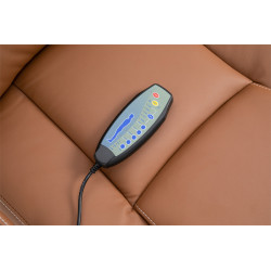 Chaise de bureau Pacific avec fonction massage marron clair