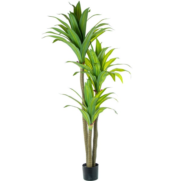 Plante décorative Alexandra House Living Plastique Dracaena 180 cm