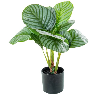 Plante décorative Alexandra House Living Plastique Calathea 50 cm