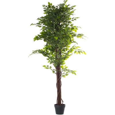 Plante décorative Alexandra House Living Plastique Ficus 16 x 16 x 162 cm