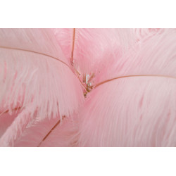 LAMPADAIRE PALM ROSE CM Ø 55X160