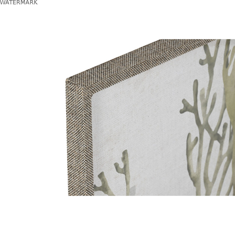 Cadre Home ESPRIT Vert Corail méditerranéen 45 x 2 x 60 cm (2 Unités)