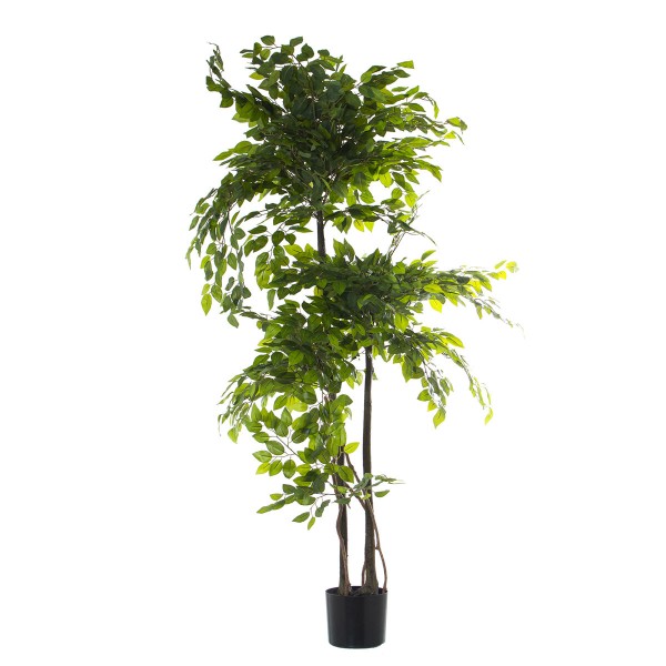 Plante décorative Alexandra House Living Plastique Ficus 18 x 22 x 162 cm