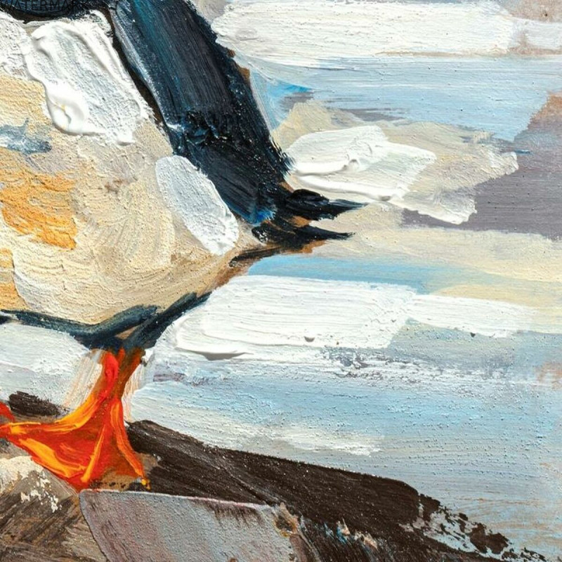 Cadre DKD Home Decor Oiseaux méditerranéen (45 x 2,7 x 45 cm) (2 Unités)