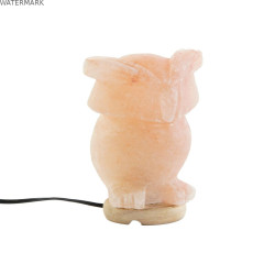 Lampe de bureau DKD Home Decor Rose Sel Acacia 15 W 220 V 14 x 14 x 18 cm