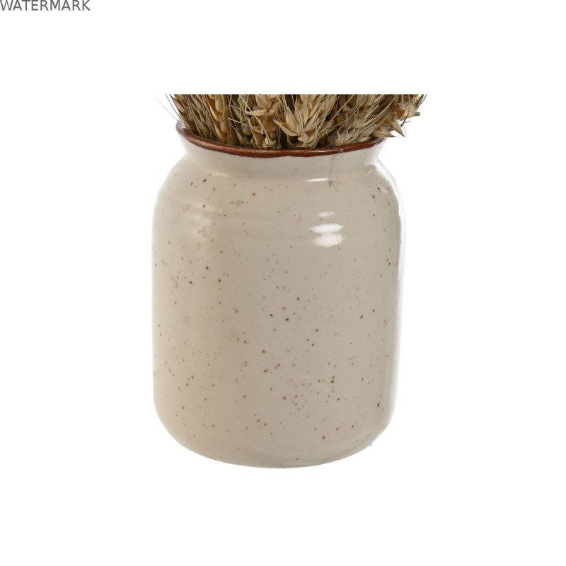 Plante décorative Home ESPRIT Fleur 13 x 13 x 25 cm (2 Unités) (12 Unités)