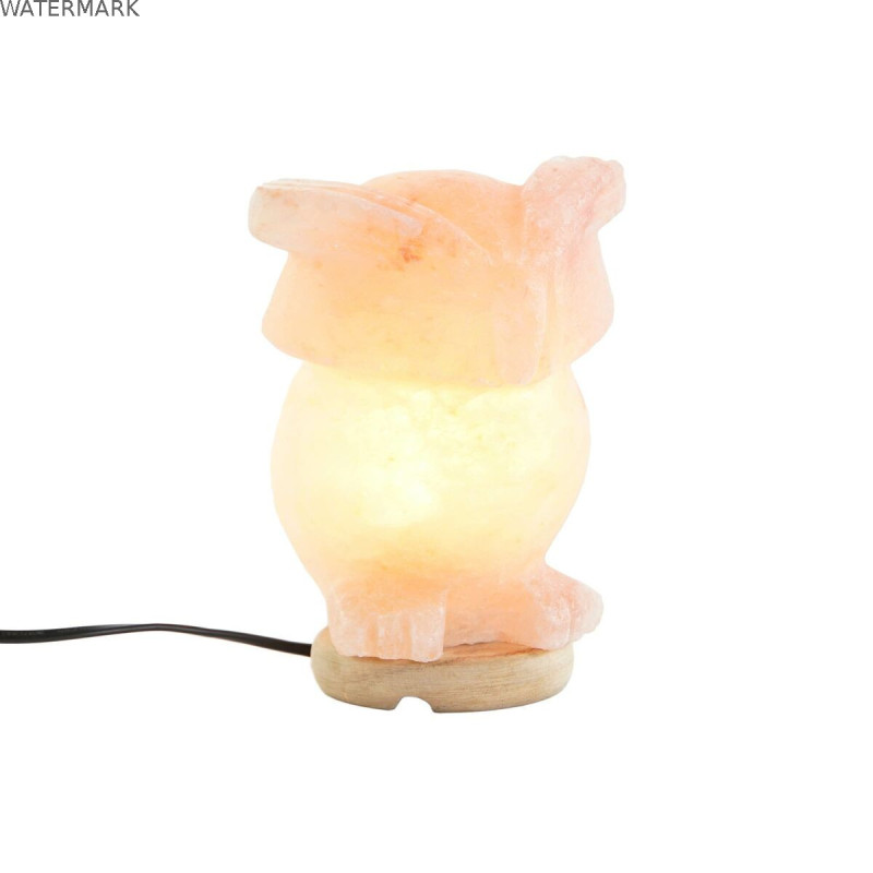 Lampe de bureau DKD Home Decor Rose Sel Acacia 15 W 220 V 14 x 14 x 18 cm