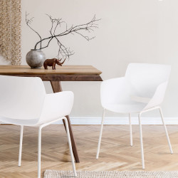 Ensemble de 2 chaises Alpena, blanches