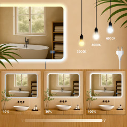 Miroir de salle de bain Jericho 60x80 sans Bluetooth en verre transparent