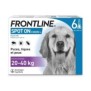 FRONTLINE Spot On Chien L - 20 a 40 kg - 6 pipettes- Puces tiques et poux