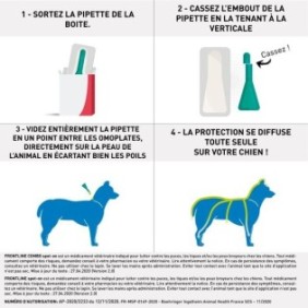 FRONTLINE Spot On Chien M - 10 a 20 kg - 6 pipettes- Puces tiques et poux