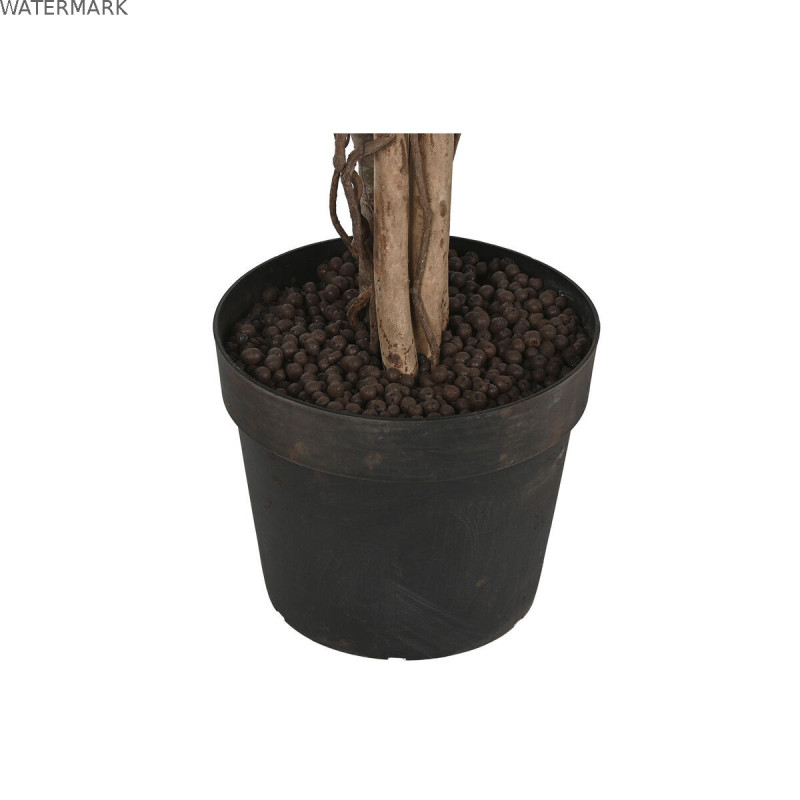 Arbre Home ESPRIT Polyéthylène Ficus 100 x 100 x 210 cm