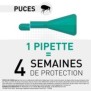 FRONTLINE Spot On Chat 4 pipettes - Puces tiques et poux