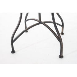 Tabella in bronzo Asina