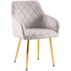 Chaise de salle à manger Monett, velours gris G