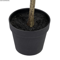Plante décorative Polyéthylène Eucalyptus 80 x 82 x 180 cm