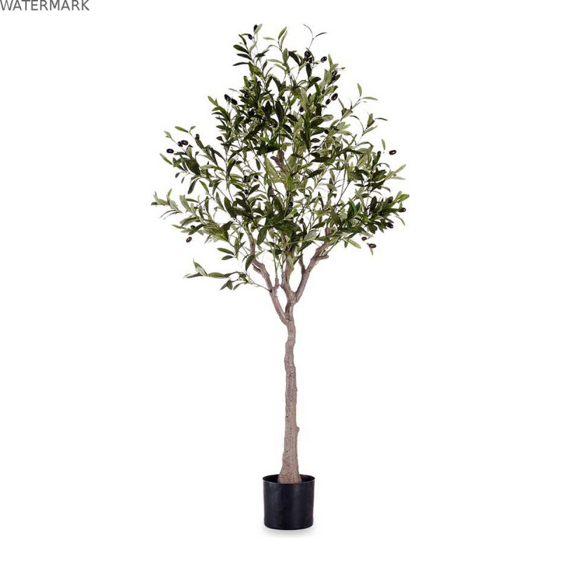 Plante décorative Ibergarden BRS-ADK102 Plastique Câble de fer Olivier 73 x 120 x 73 cm Plante décorative Ibergarden BRS-ADK102 Plastique Câble de fer Olivier 73 x 120 x 73 cm