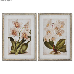 Cadre Home ESPRIT Tropical Orchidée 50 x 2,5 x 70 cm (2 Unités)