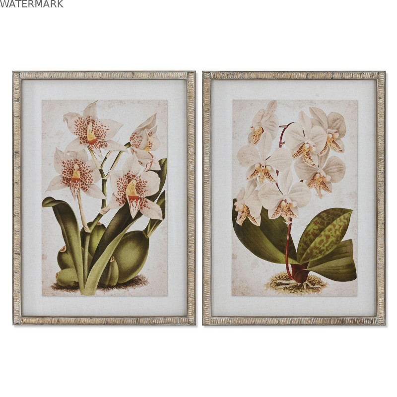 Cadre Home ESPRIT Tropical Orchidée 50 x 2,5 x 70 cm (2 Unités)